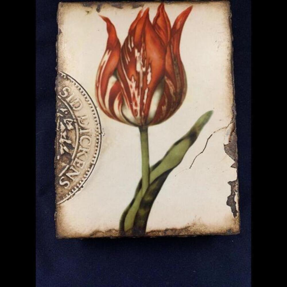 Sid Dickens Memory Tile, T-98 Scarlet